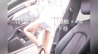 (18禁アニメ) 学園侵触 ×× of the Dead 下巻