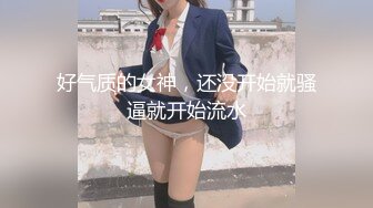 好气质的女神，还没开始就骚逼就开始流水