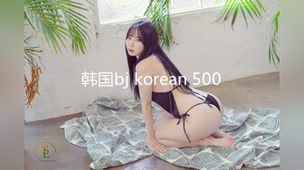 韩国bj korean 500