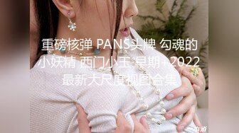 重磅核弹 PANS头牌 勾魂的小妖精 西门小玉 早期+2022最新大尺度视图合集