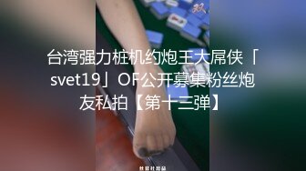 台湾强力桩机约炮王大屌侠「svet19」OF公开募集粉丝炮友私拍【第十三弹】