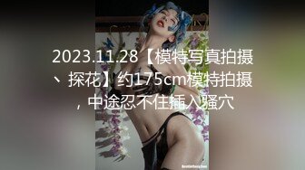 2023.11.28【模特写真拍摄丶探花】约175cm模特拍摄，中途忍不住插入骚穴