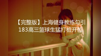 麻豆传媒 销售的车震推销 【莫夕慈】