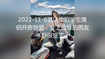 【虎哥】推特红人伪摄影大师特别版，翘臀长腿女模，双头龙入双洞，虎哥玩的不亦乐乎 (1)