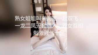 91秦先生系列之颜值爆表的极品网红白富美完整版