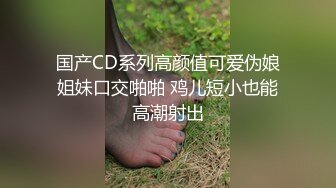 绝对领域LY-054女友姐姐对我的特别招待