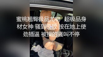 麻豆传媒 MD-0213 巨乳少妇肉体偿债 张芸熙