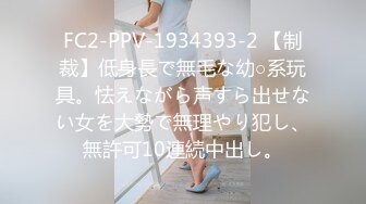 大老公和小老公