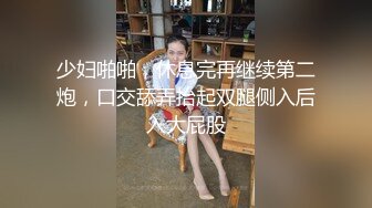 大像传媒之填滿幼齒孕婦的性慾