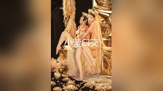 纹身大哥征服极品D奶美少妇骚货握着肉棒爱不释手细细品味吹箫技术超赞打炮一对大奶乱颤呻吟声销魂对白淫荡1080P原版