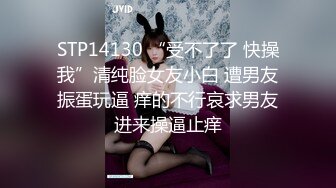 【爱玩夫妻】换妻界的顶流，新加坡华裔第四部，第一次被人夫内射，人妻们都尽情放纵了自己，精彩！