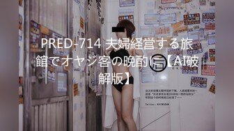 姉姦 Rec-2 過激生投稿