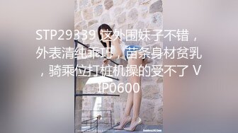 【首发推荐】国产AV佳作MD0054-巨乳业主深夜淫叫淫水直流 小区物业报复女业主强上实录