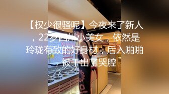 申请丰乳翘臀女友发情不止呻吟完整版