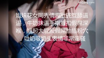 高清无水印珍藏版 高铁女神乘务员和靓丽的女乘客 (2)