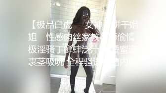 AI&mdash;赵丽颖爱女上位