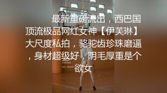 OnlyFan 蛇喰梦子的陨落 完整版（4k）