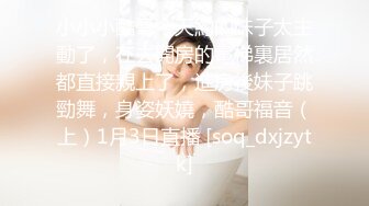 最新超人气爆乳女神▌乐乐▌电梯紧急停止 终极隐藏版 再遇女神爆艹尤物 痴汉电车激情上演