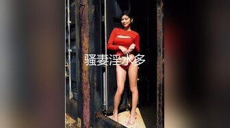 【麻豆传媒】mdhg-0013 专吃学生的补教淫师-艾熙