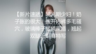 透明蕾丝薄纱热舞 (2)