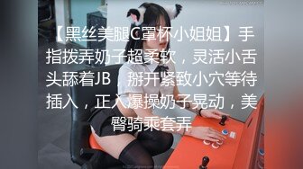 女朋友的妈妈 三浦恵理子