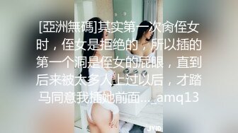 STP32208 蜜桃影像传媒 PME100 用大屌导正调皮的大奶妹妹 孟若羽