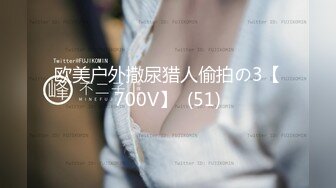 【91CM-039】小偷艳遇 #赵美凤