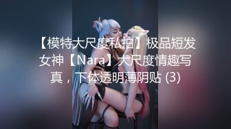 【模特大尺度私拍】极品短发女神【Nara】大尺度情趣写真，下体透明薄阴贴 (3)