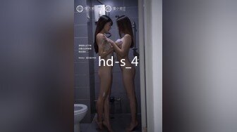 hd-s_4