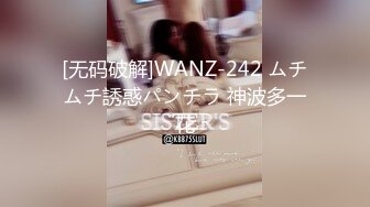 [无码破解]WANZ-242 ムチムチ誘惑パンチラ 神波多一花